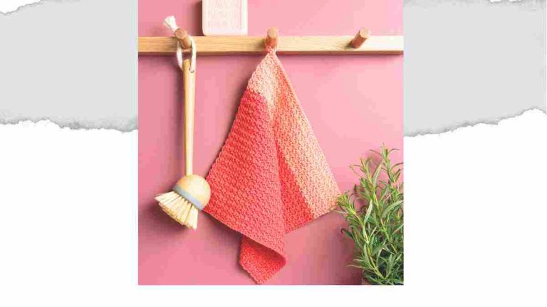 Easy Crochet Dishcloth Pattern — Free